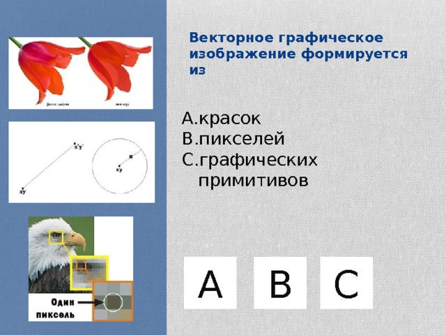Векторное графическое изображение формируется из красок пикселей графических примитивов C А B 