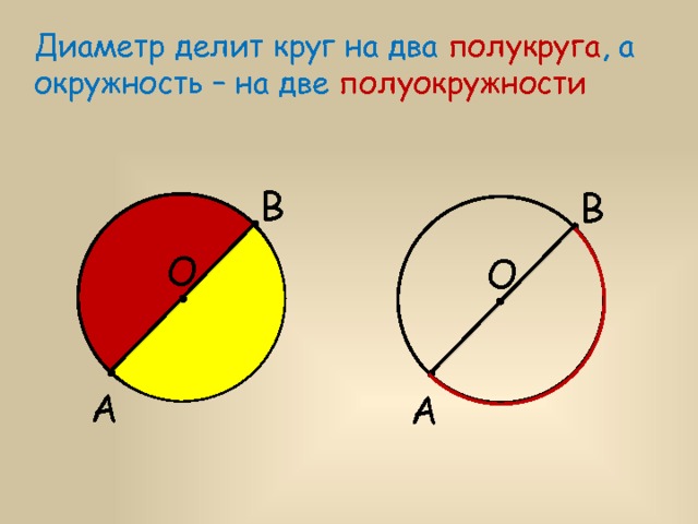 Диаметр делит круг на два полукруга , а окружность – на две полуокружности В В О О А А 