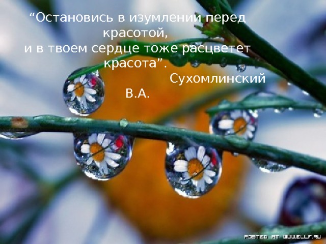 “ Остановись в изумлении перед красотой, и в твоем сердце тоже расцветет красота”.  Сухомлинский В.А.   