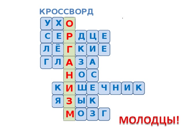 КРОССВОРД . О Р Г У А Х Н О И З М С Е Р Д Ц Е Л Ё Г К И Е Г Л А З А Н О С К И Ш Е Ч Н И К Я З Ы К М О З Г