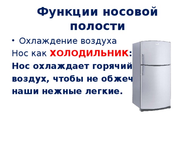 Функции носовой полости Охлаждение воздуха Нос как ХОЛОДИЛЬНИК : Нос охлаждает горячий воздух, чтобы не обжечь наши нежные легкие.