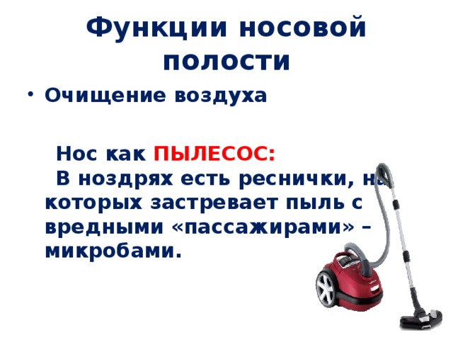 Функции носовой полости Очищение воздуха   Нос как ПЫЛЕСОС:  В ноздрях есть реснички, на которых застревает пыль с вредными «пассажирами» – микробами.