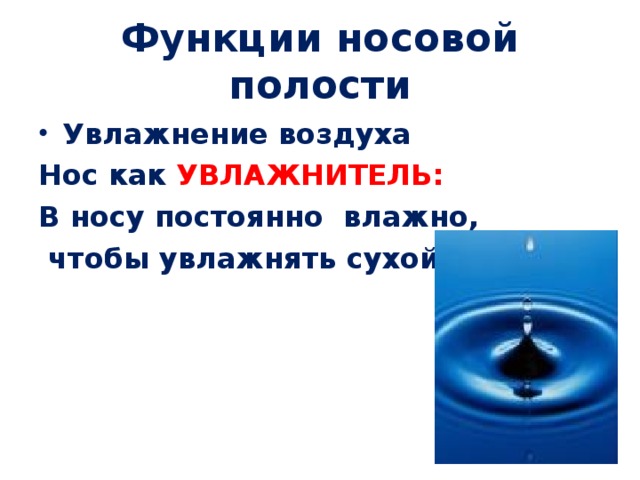 Функции носовой полости Увлажнение воздуха Нос как УВЛАЖНИТЕЛЬ: В носу постоянно влажно,  чтобы увлажнять сухой воздух.