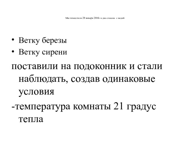    Мы поместили 20 января 2016г в два стакана с водой     Ветку березы Ветку сирени поставили на подоконник и стали наблюдать, создав одинаковые условия -температура комнаты 21 градус тепла 