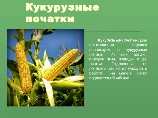  Кукурузные початки . Для изготовления игрушек используют и кукурузные початки. Из них делают фигурки птиц, лошадки и др. листья. Отделенные от початков, так же используют в работе. Они мягкие, легко поддаются обработке. 