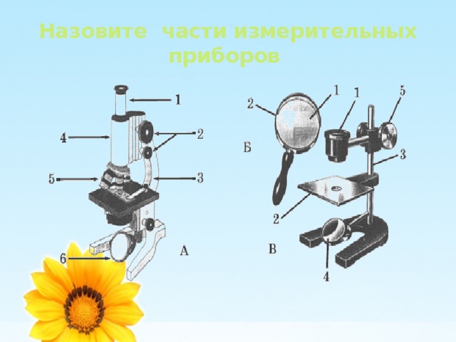 Назовите части измерительных приборов 