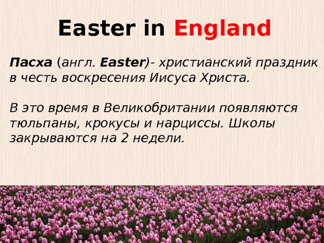 Easter in England Пасха ( англ.  Easter )- христианский праздник в честь воскресения Иисуса Христа. В это время в Великобритании появляются тюльпаны, крокусы и нарциссы. Школы закрываются на 2 недели. 