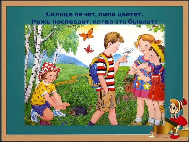  Солнце печет, липа цветет.  Рожь поспевает, когда это бывает?   