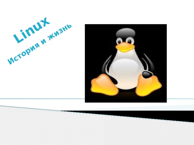 Linux История и жизнь 