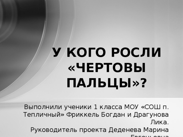 У КОГО РОСЛИ  «ЧЕРТОВЫ ПАЛЬЦЫ»? Выполнили ученики 1 класса МОУ «СОШ п. Тепличный» Фриккель Богдан и Драгунова Лика. Руководитель проекта Деденева Марина Евгеньевна