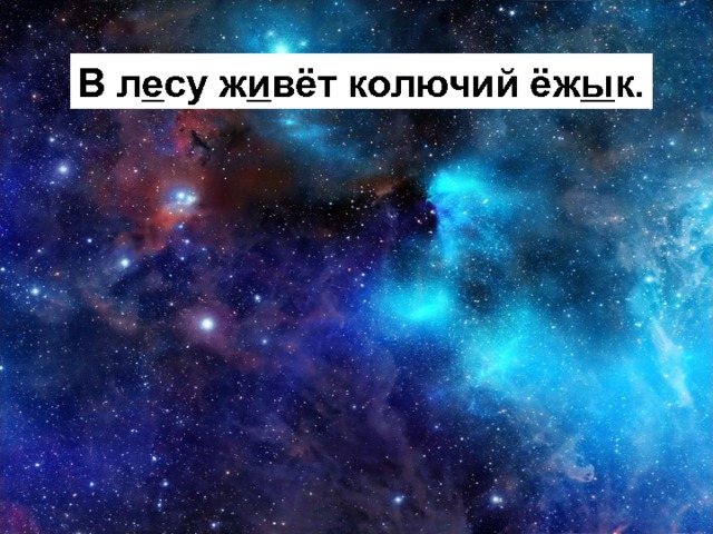 В л е су ж и вёт колючий ёж ы к. 