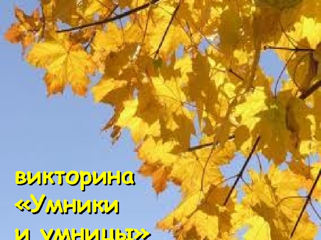 викторина  «Умники  и умницы» 