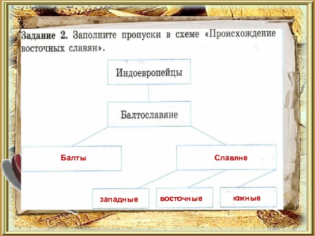 Балты Славяне  южные восточные западные 