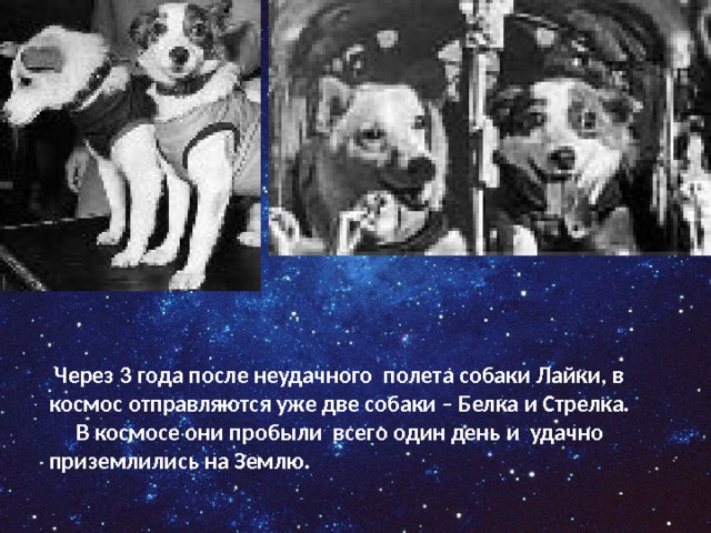  Через 3 года после неудачного полета собаки Лайки, в космос отправляются уже две собаки – Белка и Стрелка.  В космосе они пробыли всего один день и удачно приземлились на Землю. 