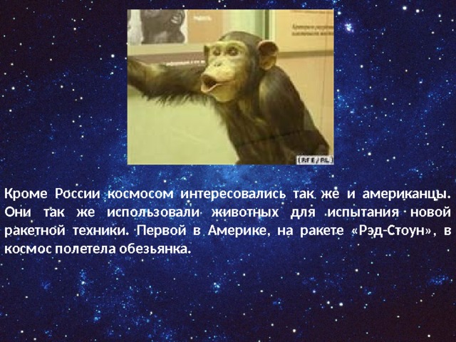Кроме России космосом интересовались так же и американцы. Они так же использовали животных для испытания новой ракетной техники. Первой в Америке, на ракете «Рэд-Стоун», в космос полетела обезьянка. 
