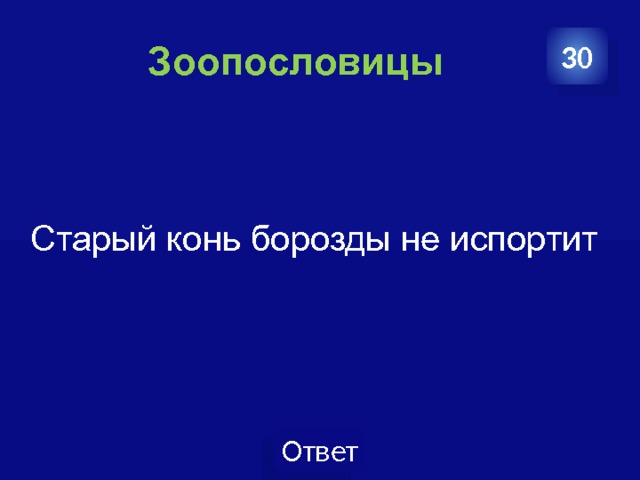  Зоопословицы 30  Старый конь борозды не испортит 