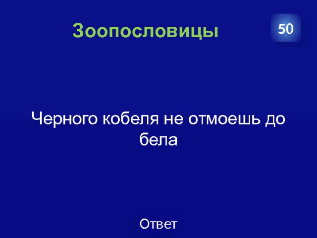   Зоопословицы 50 Черного кобеля не отмоешь до бела 