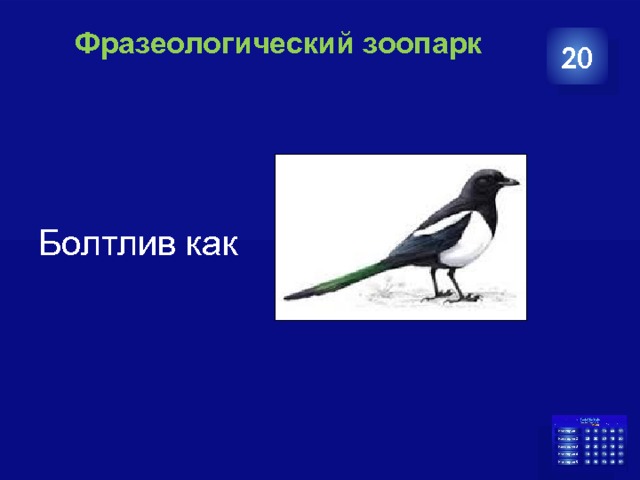 Фразеологический зоопарк   20 Болтлив как 