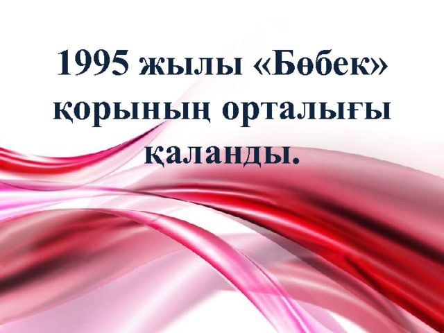 1995 жылы «Бөбек» қорының орталығы қаланды. 