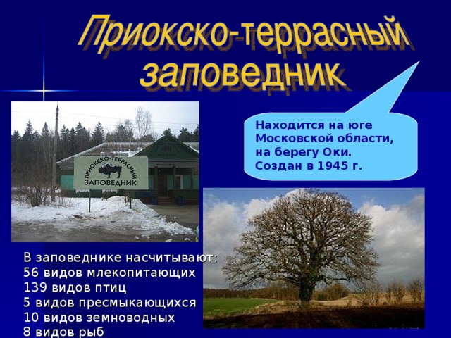 Заповедники московской области презентация