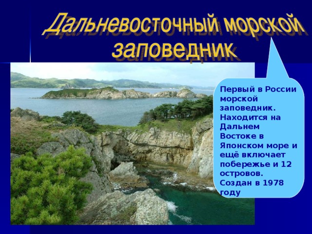 Дальневосточный морской заповедник кратко