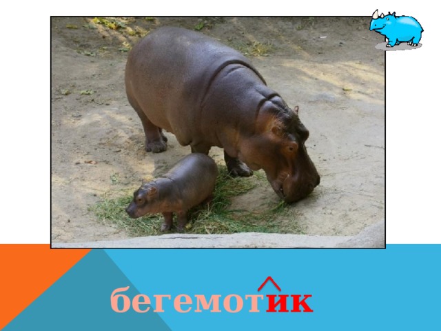 Схема слова бегемот