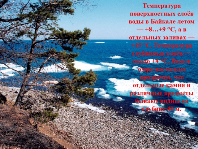 Температура поверхностных слоёв воды в Байкале летом — +8…+9 °С, а в отдельных заливах — +15 °C. Температура глубинных слоёв — около +4 °C. Вода в озере настолько прозрачна, что отдельные камни и различные предметы бывают видны на глубине 40 м. 
