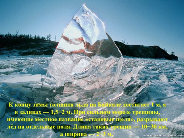 К концу зимы толщина льда на Байкале достигает 1 м, а в заливах — 1,5−2 м. При сильном морозе трещины, имеющие местное название «становые щели», разрывают лёд на отдельные поля. Длина таких трещин — 10−30 км, а ширина — 2−3 м. 