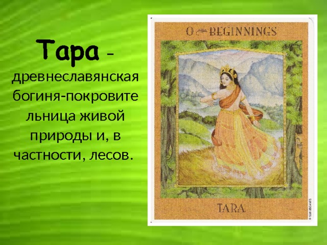 Тара  – древнеславянская богиня-покровительница живой природы и, в частности, лесов. 