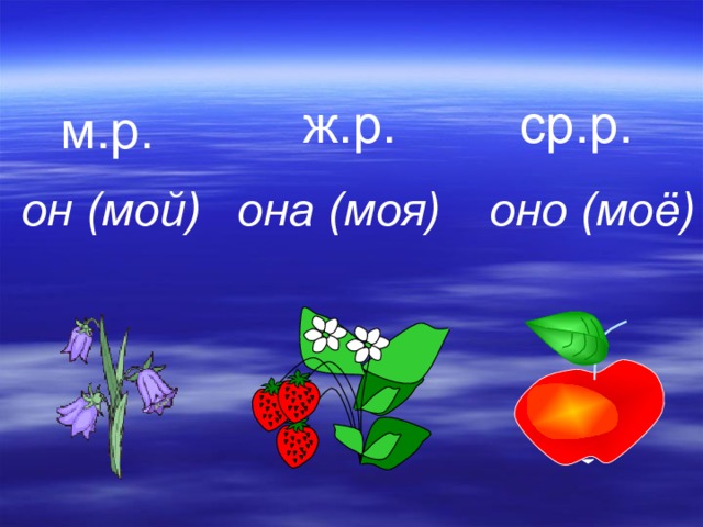 ср.р. ж.р. м.р. оно (моё) она (моя) он (мой) 