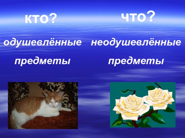 что? кто ? неодушевлённые предметы одушевлённые предметы 