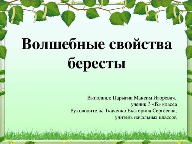 Волшебные свойства бересты  Выполнил: Парыгин Максим Игоревич,  ученик 3 «Б» класса  Руководитель: Ткаченко Екатерина Сергеевна,  учитель начальных классов