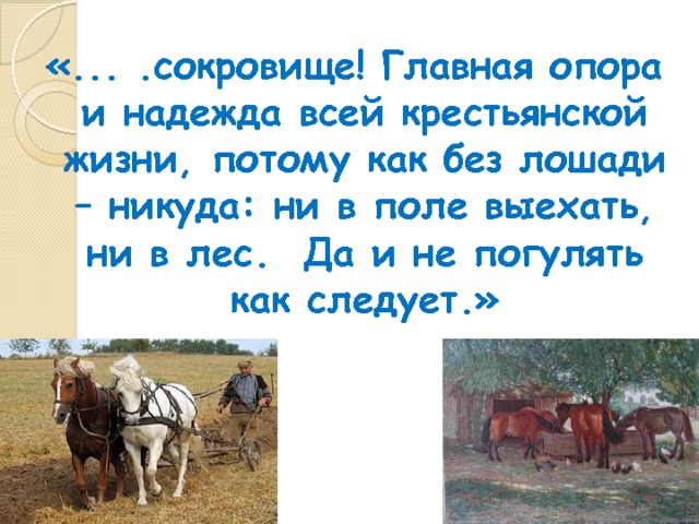 «... .сокровище! Главная опора и надежда всей крестьянской жизни, потому как без лошади – никуда: ни в поле выехать, ни в лес. Да и не погулять как следует.» 