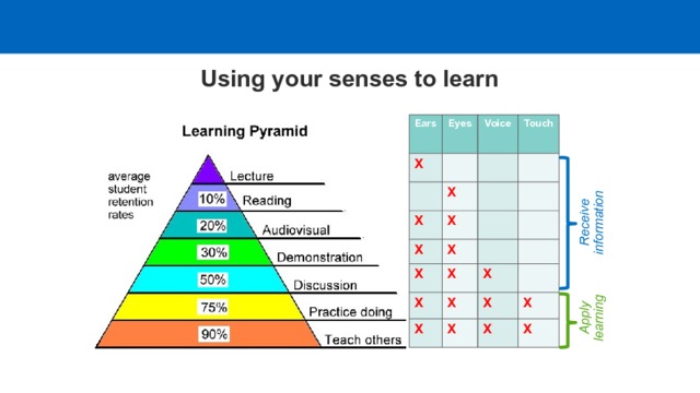 Receive information Apply learning Using your senses to learn Ears Eyes X Voice X Touch X X X X X X X X X X X X X X X 