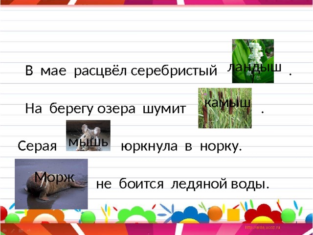 ландыш   камыш    В мае расцвёл серебристый .  На берегу озера шумит .  Серая юркнула в норку.  не боится ледяной воды.     мышь   Морж   