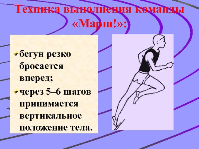 Техника выполнения команды «Марш!»: бегун резко бросается вперед; через 5–6 шагов принимается вертикальное положение тела. 