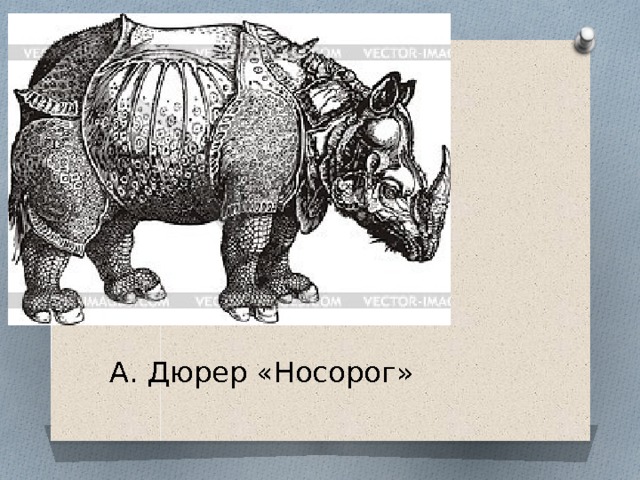 А. Дюрер «Носорог» 