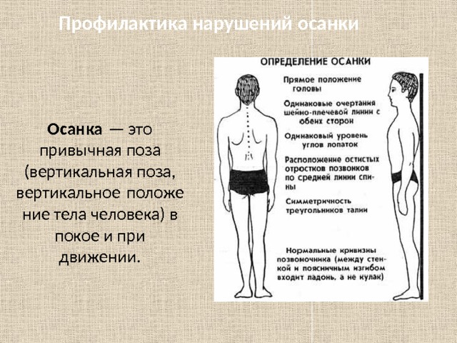 Вертикальная позиция голоса. Профилактика осанки. Вертикальное положение тела человека.