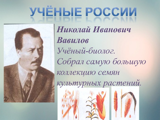 Николай Иванович Вавилов Учёный-биолог. Собрал самую большую коллекцию семян культурных растений. 
