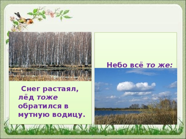 Небо всё то же: славное, чистое, светлое.      Снег растаял, лёд тоже  обратился в мутную водицу.