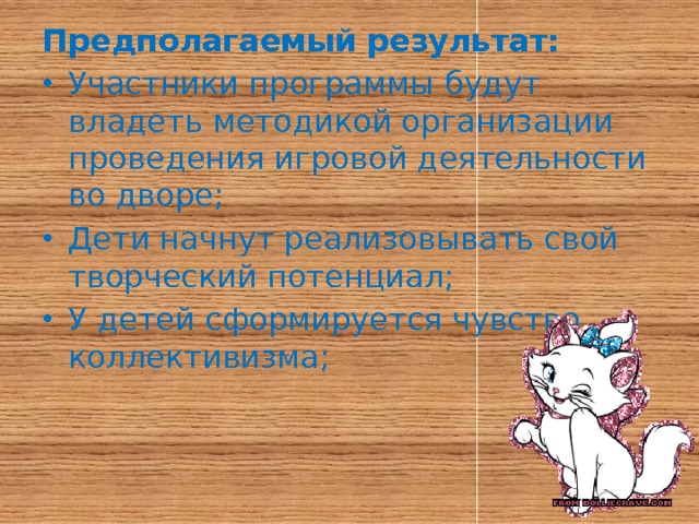 Предполагаемый результат: Участники программы будут владеть методикой организации проведения игровой деятельности во дворе; Дети начнут реализовывать свой творческий потенциал; У детей сформируется чувство коллективизма; 