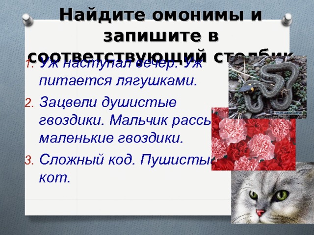 Найдите омонимы и запишите в соответствующий столбик Уж наступал вечер. Уж питается лягушками. Зацвели душистые гвоздики. Мальчик рассыпал маленькие гвоздики. Сложный код. Пушистый кот. 