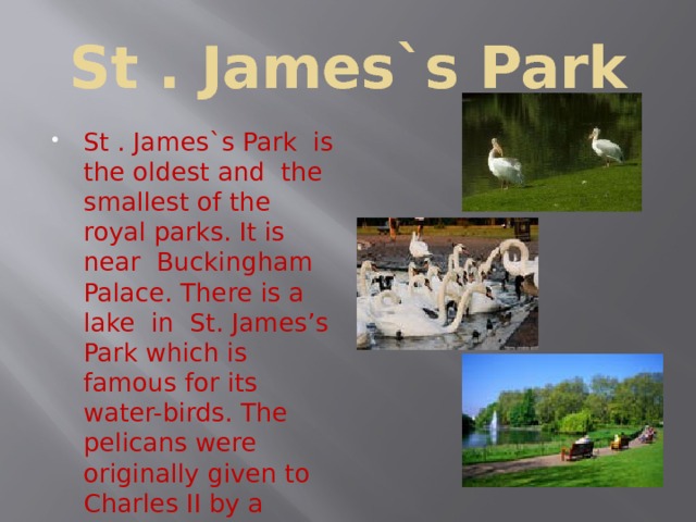 St . James`s Park St . James`s Park is the oldest and the smallest of the royal parks. It is near Buckingham Palace. There is a lake in St. James’s Park which is famous for its water-birds. The pelicans were originally given to Charles II by a Russian ambassador. Hundreds of people come to this park to rest. 