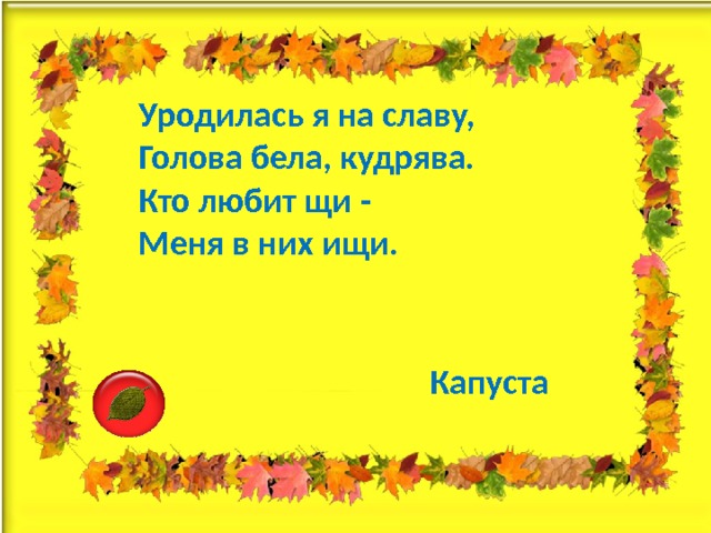 Уродилась я на славу,  Голова бела, кудрява.  Кто любит щи -  Меня в них ищи. Капуста 