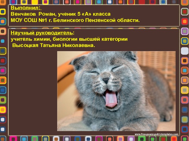 Выполнил: Венчаков Роман, ученик 5 «А» класса МОУ СОШ №1 г. Белинского Пензенской области.  Научный руководитель : учитель химии, биологии высшей категории  Высоцкая Татьяна Николаевна. 