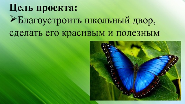 Цель проекта: Благоустроить школьный двор, сделать его красивым и полезным 