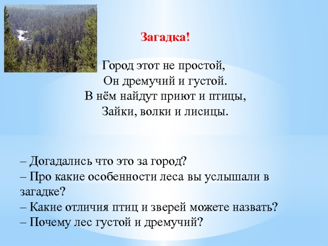 Загадки гор. Загадка про город. Загадки про города с ответами. Загадка про город для детей. Загадка про Москву.