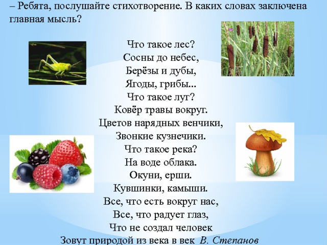 – Ребята, послушайте стихотворение. В каких словах заключена главная мысль? Что такое лес?  Сосны до небес,  Берёзы и дубы,  Ягоды, грибы...  Что такое луг?  Ковёр травы вокруг.  Цветов нарядных венчики,  Звонкие кузнечики.  Что такое река?  На воде облака.  Окуни, ерши.  Кувшинки, камыши.  Все, что есть вокруг нас,  Все, что радует глаз,  Что не создал человек  Зовут природой из века в век В. Степанов  