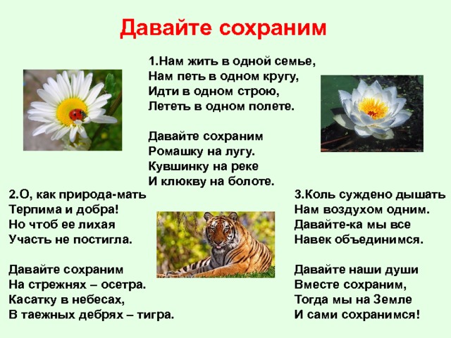 Давайте сохраним 1.Нам жить в одной семье,  Нам петь в одном кругу,  Идти в одном строю,  Лететь в одном полете.   Давайте сохраним  Ромашку на лугу.  Кувшинку на реке  И клюкву на болоте.     3.Коль суждено дышать  Нам воздухом одним.  Давайте-ка мы все  Навек объединимся.   Давайте наши души  Вместе сохраним,  Тогда мы на Земле  И сами сохранимся!  2.О, как природа-мать  Терпима и добра!  Но чтоб ее лихая  Участь не постигла.   Давайте сохраним  На стрежнях – осетра.  Касатку в небесах,  В таежных дебрях – тигра.    