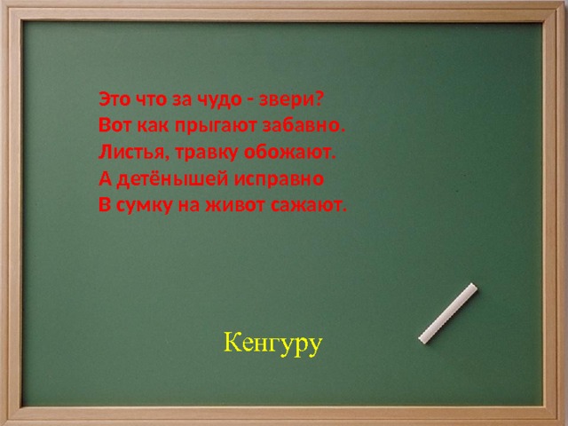 Это что за чудо - звери? Вот как прыгают забавно. Листья, травку обожают. А детёнышей исправно В сумку на живот сажают.   Кенгуру 